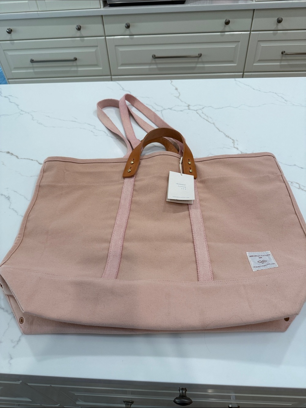 Everyday Pink Canvas Tote with Leather Handles
